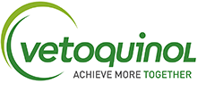 vetoquinol