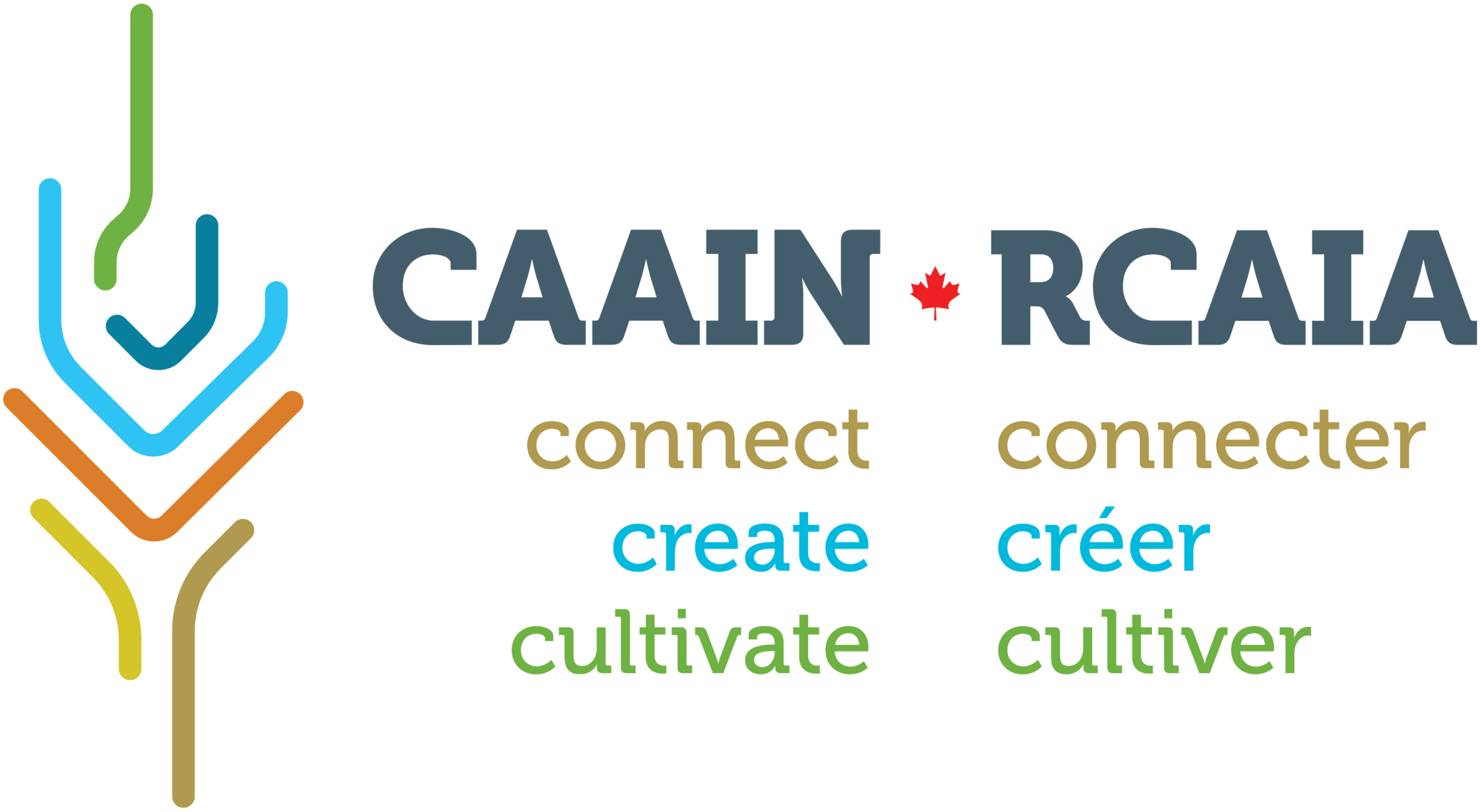 CAAIN_RCAIA_highres-1